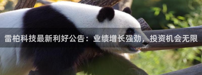 雷柏科技最新利好公告：业绩增长强劲，投资机会无限