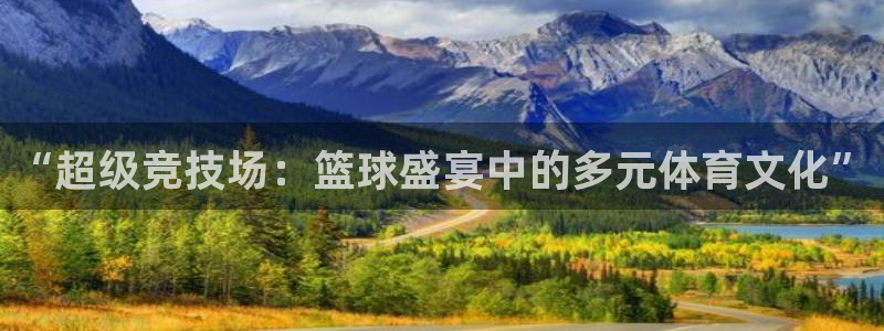 “超级竞技场：篮球盛宴中的多元体育文化”