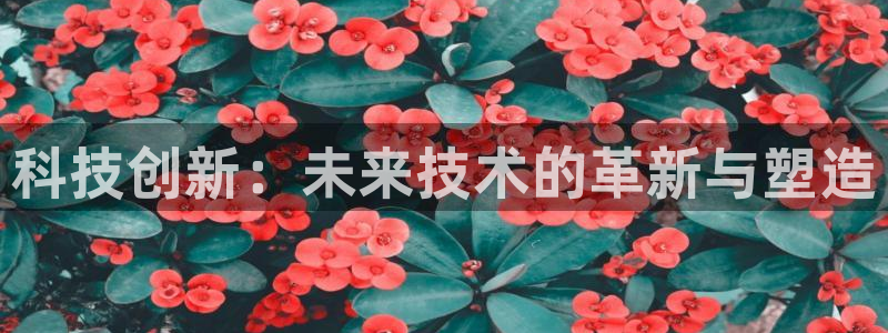 科技创新：未来技术的革新与塑造