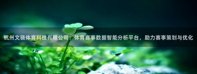 杭州文骁体育科技有限公司：体育赛事数据智能分析平台，助力赛事策划与优化