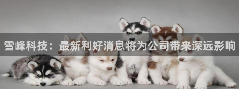 雪峰科技：最新利好消息将为公司带来深远影响