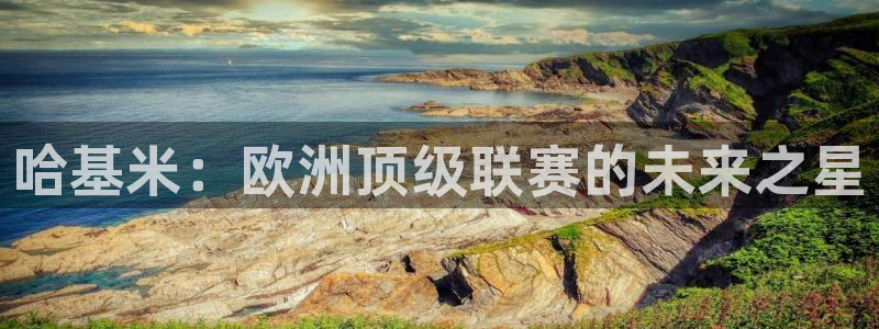 哈基米：欧洲顶级联赛的未来之星