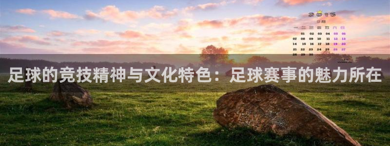 足球的竞技精神与文化特色：足球赛事的魅力所在