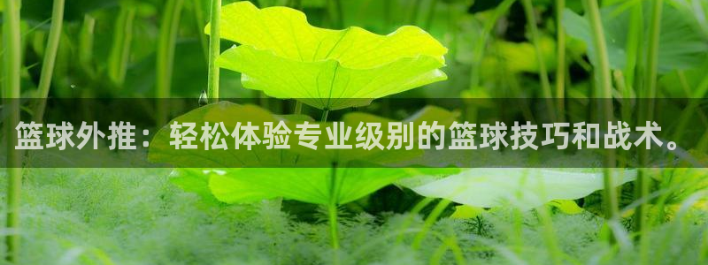 篮球外推：轻松体验专业级别的篮球技巧和战术。