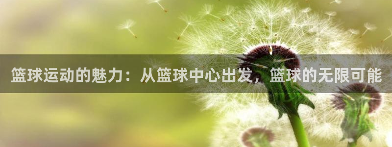篮球运动的魅力：从篮球中心出发，篮球的无限可能