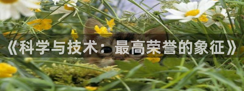 《科学与技术：最高荣誉的象征》
