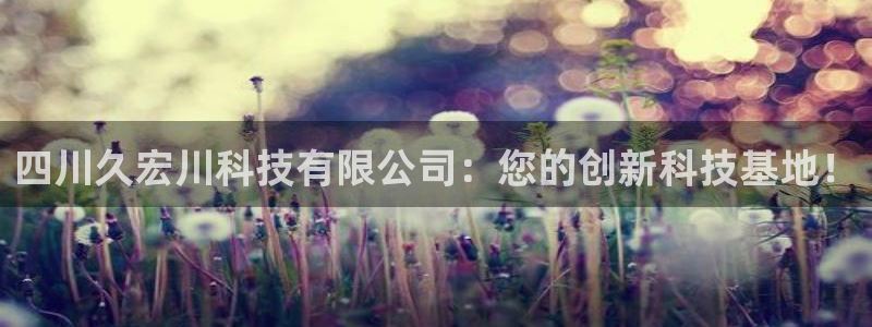 四川久宏川科技有限公司：您的创新科技基地！