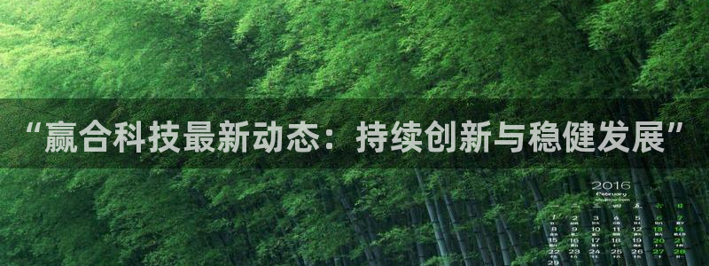 “赢合科技最新动态：持续创新与稳健发展”