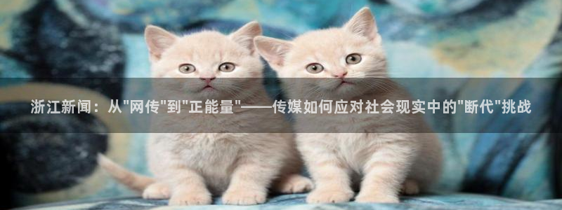 浙江新闻：从\