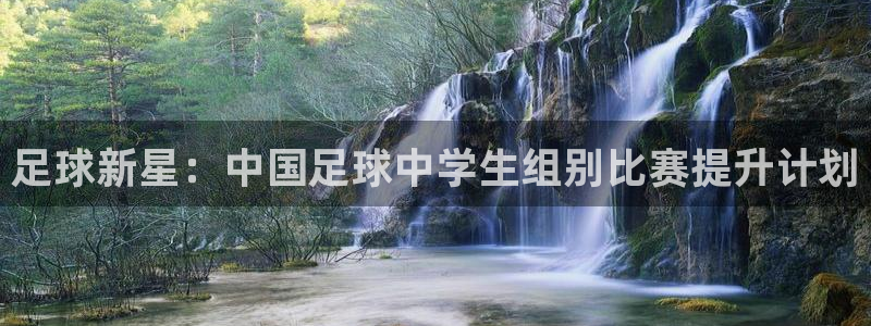 足球新星：中国足球中学生组别比赛提升计划