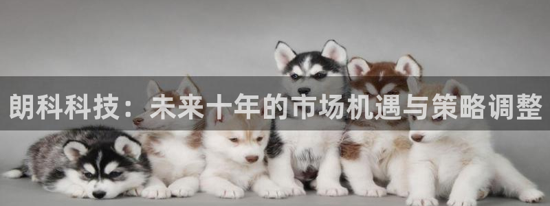 朗科科技：未来十年的市场机遇与策略调整