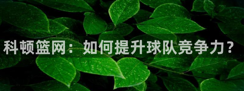 科顿篮网：如何提升球队竞争力？