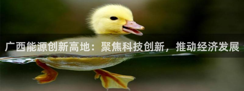 广西能源创新高地：聚焦科技创新，推动经济发展